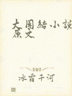 大团结小说阅读原文封面