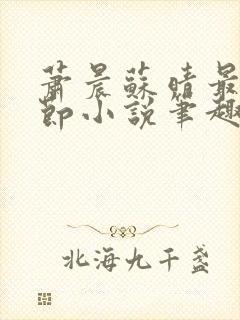 萧晨苏晴最新章节小说笔趣阁