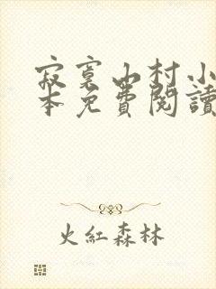 寂寞山村小说全本免费阅读