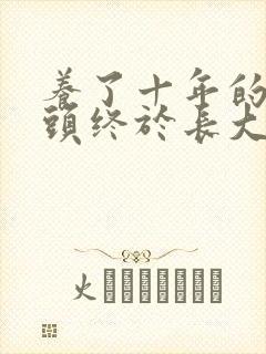 养了十年的小丫头终于长大了