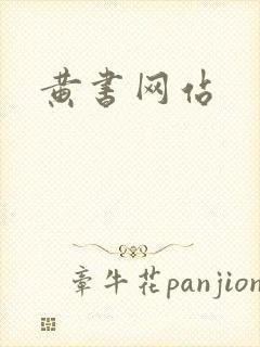 黄书网站