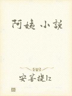 阿姨 小说