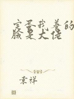 完蛋我养的小白脸是大佬