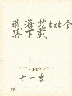 藏海花txt全集下载