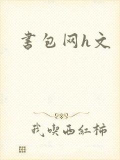 书包网h文