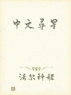 中文寻星