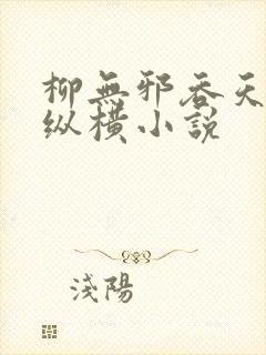 柳无邪吞天神鼎纵横小说