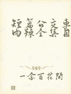 短篇公交车高h肉辣全集目录