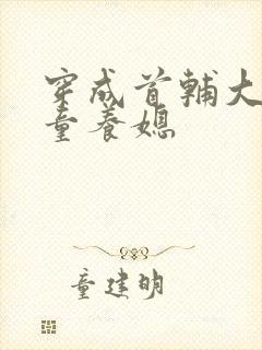 穿成首辅大人的童养媳