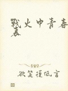 战火中青春演员表封面