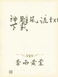 神雕风流txt下载封面