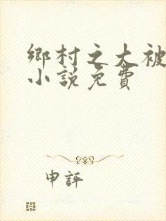 乡村之大被同眠小说免费封面