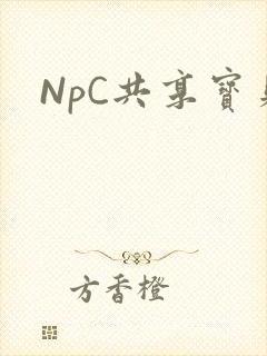 NpC共享宝贝