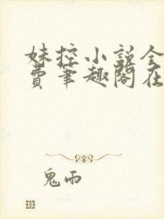 妹控小说全文免费笔趣阁在线阅读