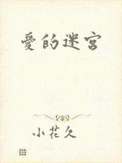 爱的迷宫