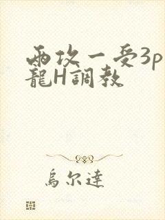 两攻一受3p双龙H调教