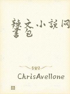 辣文小说网第二书包