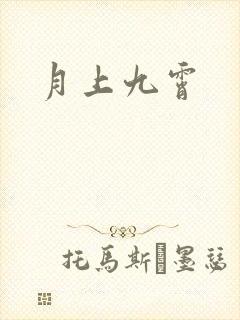 月上九霄封面