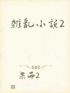 杂乱小说2