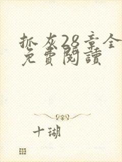 抓灰28章全部免费阅读