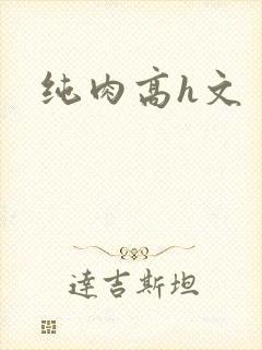 纯肉高h文封面
