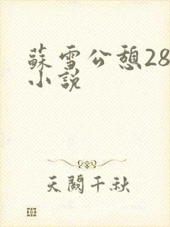 苏雪公憩28篇小说