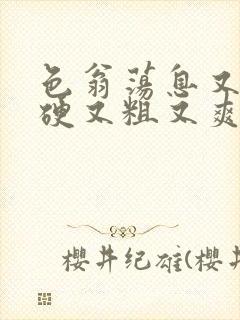 色翁荡息又大又硬又粗又爽