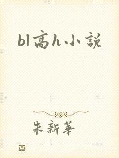 bl高h小说封面