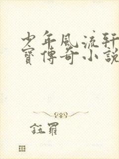 少年风流轩辕大宝传奇小说封面