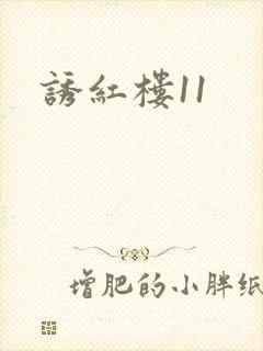 诱红楼11