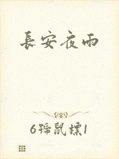 长安夜雨