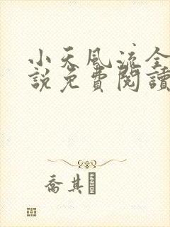 小天风流全集小说免费阅读