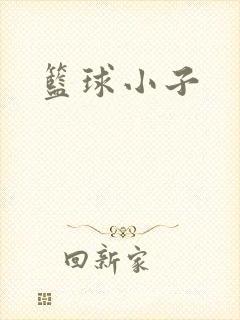 篮球小子