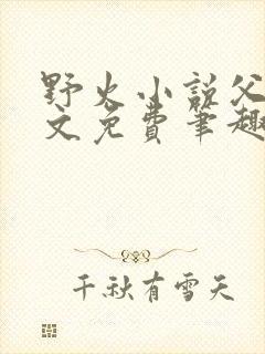 野火小说父女全文免费笔趣阁