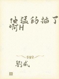 他猛的插了进去啊H