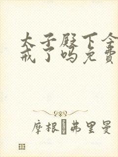 太子殿下今天破戒了吗免费阅读封面