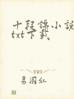 十段锦小说全本txt下载