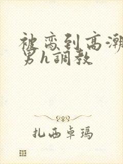 被脔到高潮的直男h调教