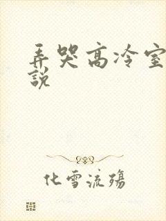 弄哭高冷室友小说