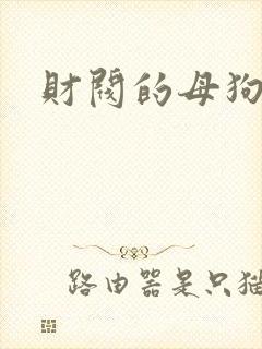 财阀的母狗们封面
