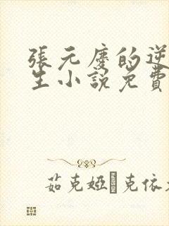 张元庆的逆袭人生小说免费阅读