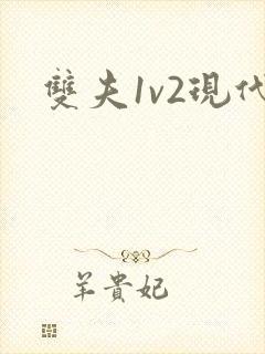 双夫1v2现代