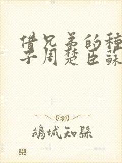 借兄弟的种生孩子周楚臣苏糖封面