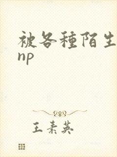 被各种陌生人 np