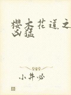 樱木花道之重生凶猛封面