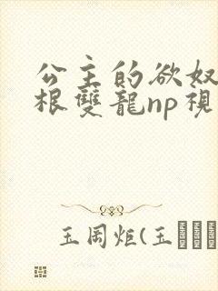 公主的欲奴h四根双龙np视频