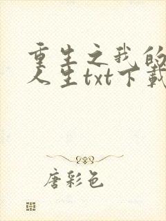 重生之我的书记人生txt下载封面