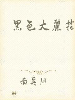 黑色大丽花图片