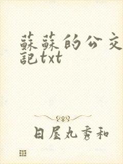 苏苏的公交车日记txt