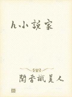 h小说家